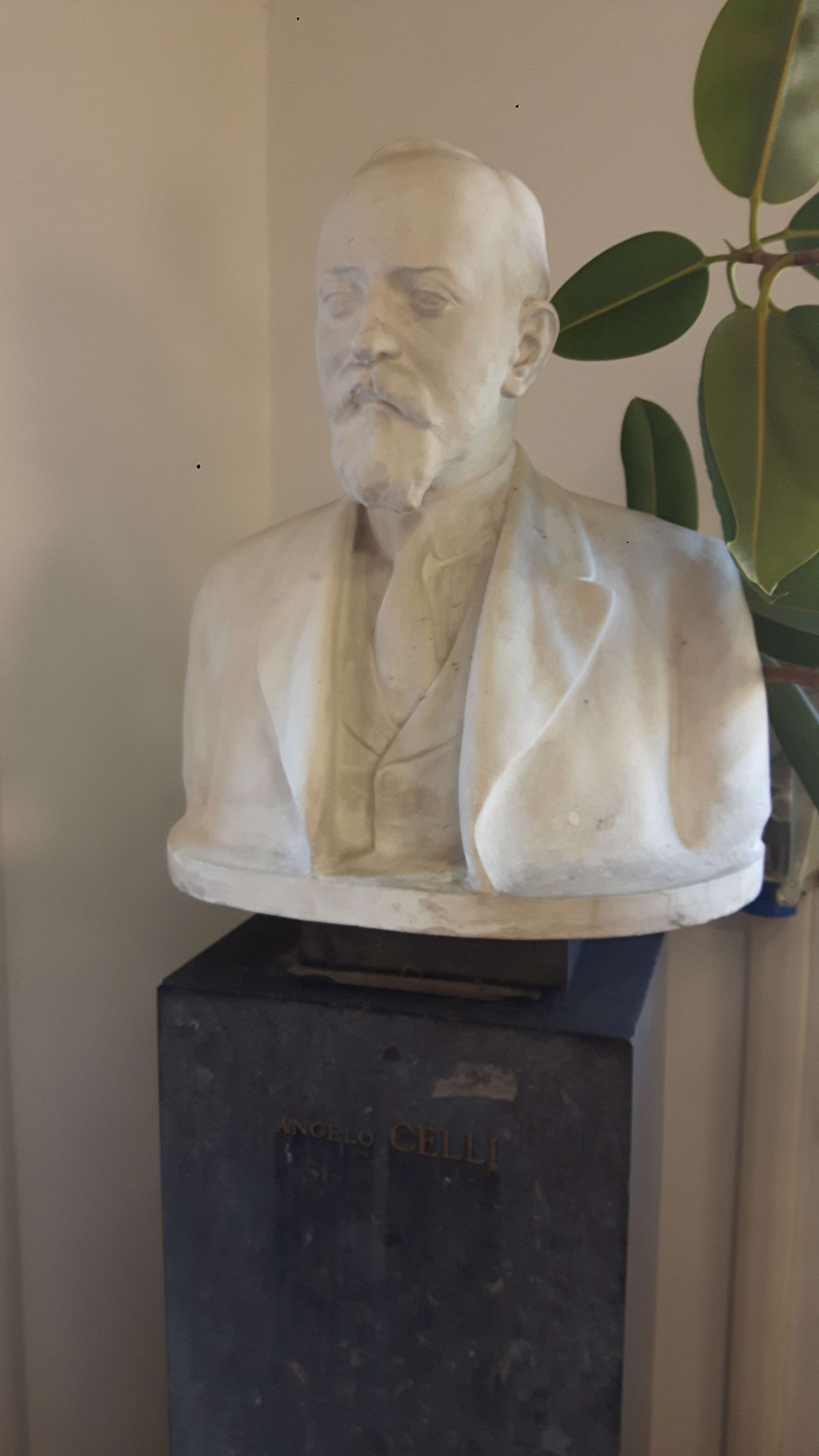 Angelo Celli's bust, Istituto di Igiene G. Sanarelli in Rome (2).jpg